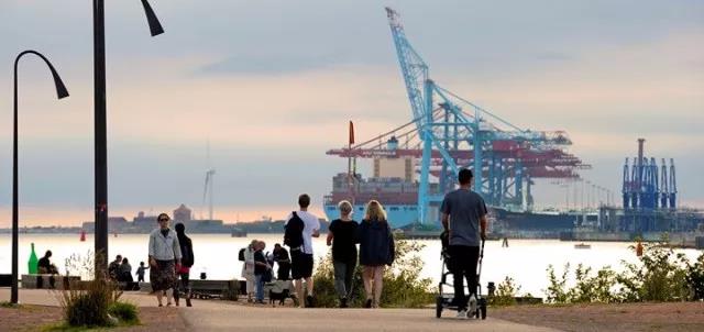 1526286437687497.jpg 3.jpg